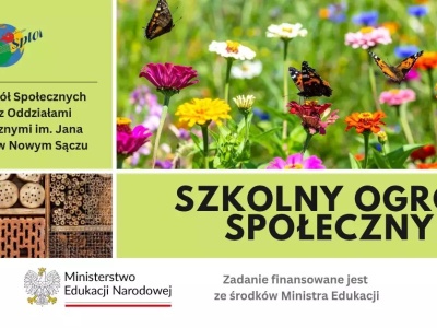 Ogród, który nie zasypia. Szkolny Ogród Społeczny Liceum Splot w Nowym Sączu