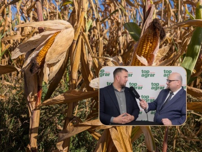 “Musiałem zebrać 14 ton kukurydzy, żeby wyjść na zero”. A jesteśmy dopiero przed umową z Mercosur