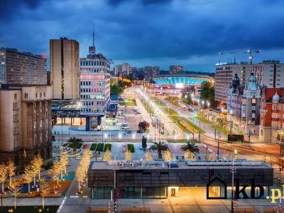 Czy Śląsk naprawdę może stać się polskim Nowym Jorkiem? Ten plan zmieni wszystko!