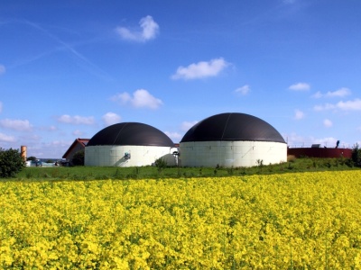 Nowa prezes zarządu i zmiany kadrowe w Polskiej Grupie Biogazowej