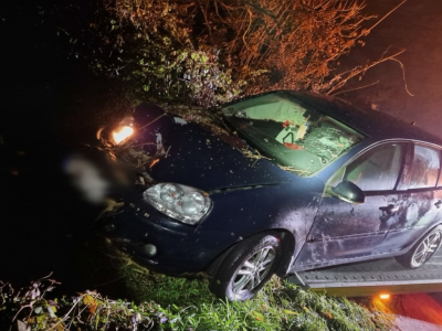 LUBELSKA GOŚCINNOŚĆ, ZBĄSZYŃSKA CIERPLIWOŚĆ I DRZEWO, KTÓRE NIE ZDĄŻYŁO UCIEC.