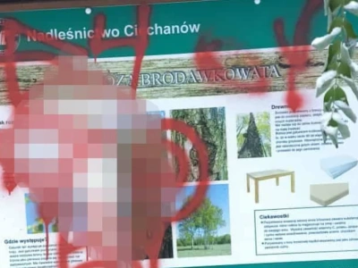 Dewastacja w lesie na terenie Ciechanowa