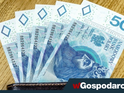 Z „chwilówek” Polacy korzystają na potęgę