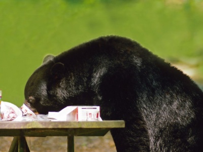 Coś ciągle ruszało się pod podłogą. Mężczyzna zamontował kamerę i zamarł
