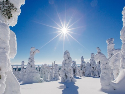 Laponia bez świątecznego lukru. O północnym krańcu Europy w wersji nieoczywistej