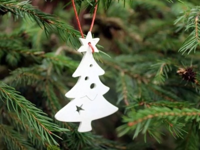 Mieszkańcy znów mogą pomóc schronisku i odebrać świąteczne drzewko