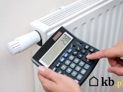 Pellet, pompa czy gaz? Które ogrzewanie domu 100 m² jest najtańsze? Odpowiedź zaskakuje!