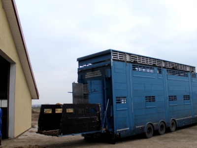 Ubojnie i mleczarnie w nowej roli – partner czy monopolista?