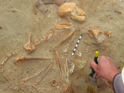 Małpki indyjskie – pupile rzymskich legionistów