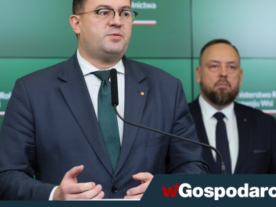 Truchło dzika z ASF podrzucone do zagłębia hodowli trzody