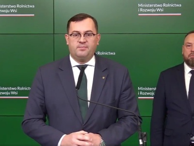 Martwy dzik z ASF w zagłębiu trzody. Służby badają możliwy sabotaż