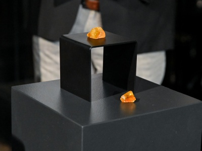 Bursztyn, który towarzyszył polskiemu astronaucie w kosmosie, wrócił do Gdańska