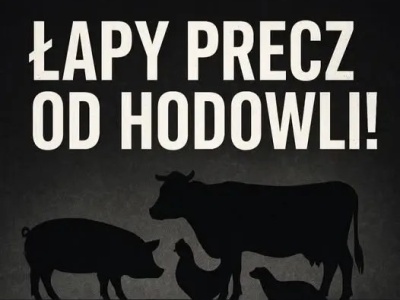 Rolnicy ostrzegają: dziś norki, jutro krowy i świnie! OOPR uderza w prezydencką decyzję