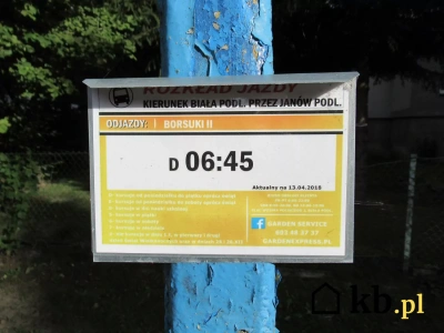 „Nie mam jak dojechać do lekarza ani do sklepu” – historia, która pokazała, jak wygląda polska prowincja