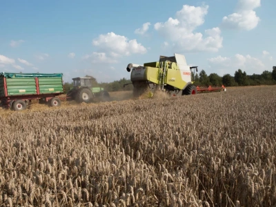 Australijskie zbiory zbóż bliskie rekordów, rozpycha się też Kazachstan, a co z unijnym eksportem i cenami w kraju?