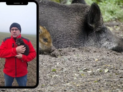 „Mieliśmy tego nie zauważyć”. Rolnik ostro o próbie rozsiania zarazy