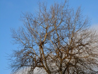 Pogoda na weekend | Ciepło jak na grudzień