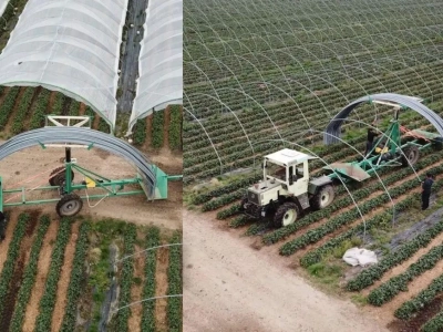 Budowa tuneli do uprawy truskawek i malin. Maszyna do rozstawiania i składania elementów konstrukcji