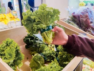 UE przestanie oznaczać GMO? Największe niemieckie sieci biją na alarm