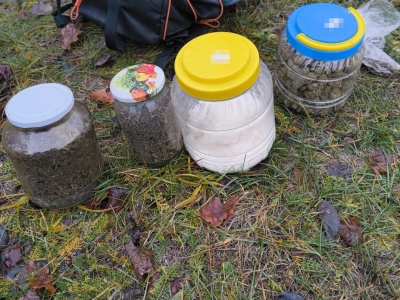 Włodawscy policjanci zabezpieczyli blisko 1,5 kg narkotyków. Dwaj mieszkańcy powiatu aresztowani