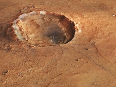 Sensacja na Marsie. Zaobserwowano motyla