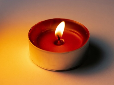 W okresie świątecznym lepiej trzymaj się od nich z daleka. Ładne i przyjemne, a szkodzą