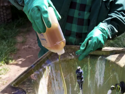 Jakie są rodzaje środków ochrony roślin i czym różnią się między sobą?