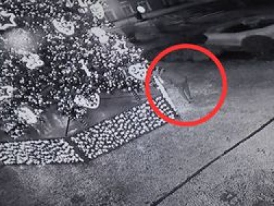 Połaszczył się na ozdoby z choinki. Wpadł, gdy wrócił po więcej