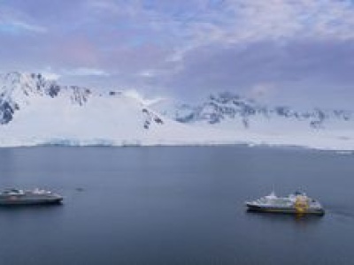 Wyjątkowe spotkanie. Miało miejsce u wybrzeży Antarktydy