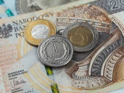 Nowy symbol dla złotego. Petycja trafia do Sejmu