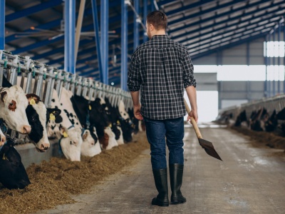 Minimum 1409 lub 1879 zł miesięcznie dla tej grupy. Wypłaty co miesiąc