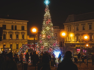 Tradycji stało się zadość! Plac Chrobrego rozświetliła 15-metrowa choinka!