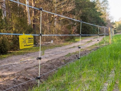 Polska zasługuje na więcej