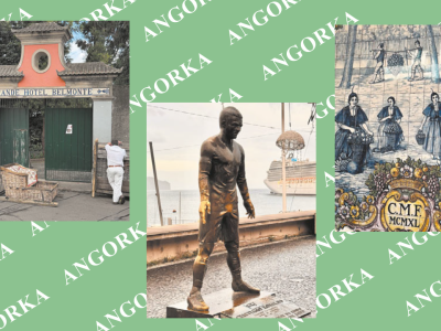 Kazik w podróży. Dzień w Funchal