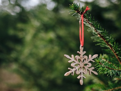 Po bożonarodzeniowe drzewko zgłoś się bezpośrednio do leśnika. Na Pomorzu trwa choinkobranie