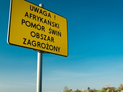 Warmińsko-mazurskie: ASF u dzików w kolejnych powiatach