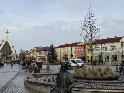 Prawie 10 tysięcy złotych za ambrowca na Rynku. To jednak koszt samego zakupu drzewa