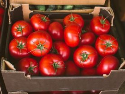 Wysłali pomidory do Polski. Zarobili 1,4 mld zł. Oto skąd pochodzą