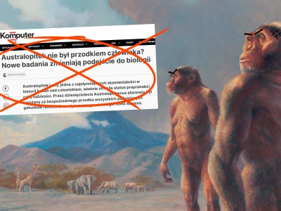 Nie, australopitek nie przestał być praprzodkiem człowieka