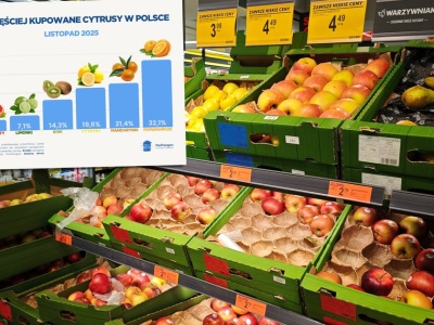 Te cytrusy uwielbiają Polacy. Jest jeden lider