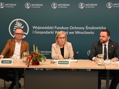 Wsparcie dla spółdzielni energetycznych na Dolnym Śląsku. Rusza pilotażowy program