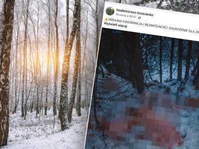 Upiorne znalezisko w małopolskim lesie. Zaskakujący zwrot akcji