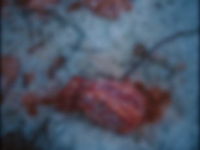 Porzucił 130 kg mięsa w lesie. Sprawca zgłosił się sam