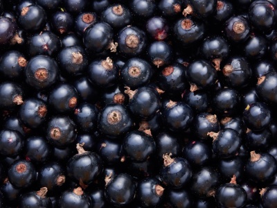 Amerykanie okrzyknęli ją 