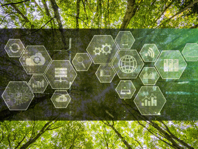 Geomatyka i sztuczna inteligencja w leśnictwie - studia podyplomowe