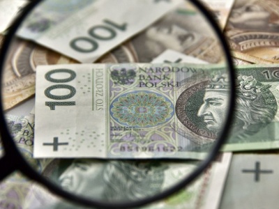 Dopłaty ARiMR 2025. Co wynika z głosów rolników?