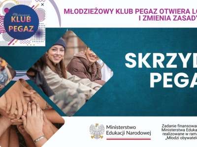 Skrzydła Pegaza będą świecić. Na starosądeckim rynku rodzi się nowy adres dla młodych