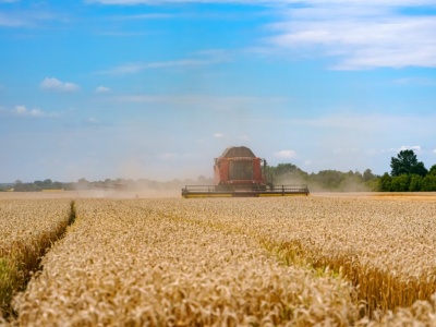 Chów klatkowy, monokultury i chemia. Gwoździe do trumny polskiej wsi