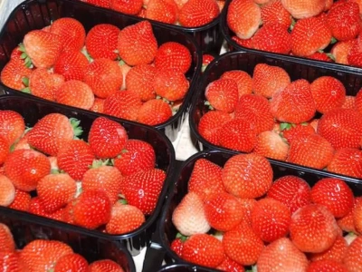 Flaga kraju pochodzenia na owocach, lepsze znakowanie przetworów i miodu. Zmiany prawne wchodzą w życie w lutym przyszłego roku