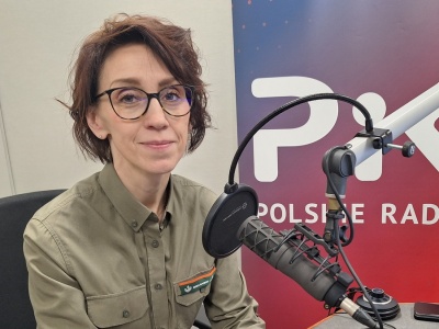 Leśnicy ostrzegają przed choinkami z importu. „Z nimi docierają do nas szkodniki i choroby